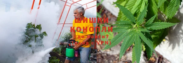 СК Арсеньев