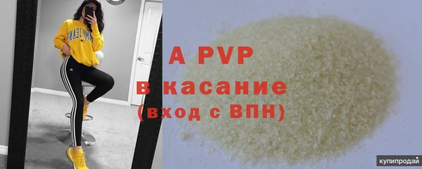 прущие грибы Армянск