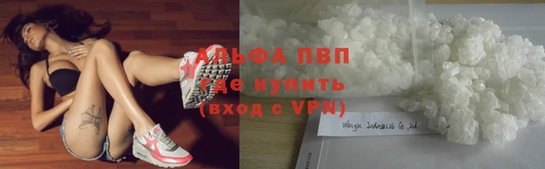 прущие грибы Армянск