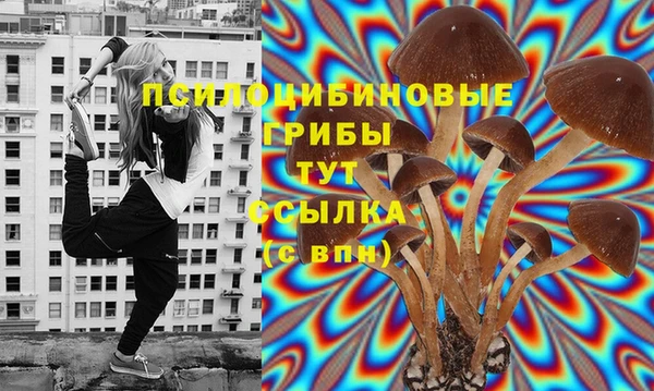 прущие грибы Армянск