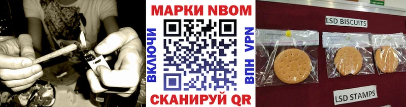 Марки N-bome 1,8мг  где найти   Чернушка 